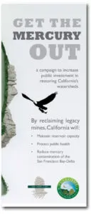 GMO-brochure-cover_4web