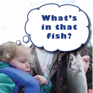 What's-in-that-fish-picture_300sq_4web