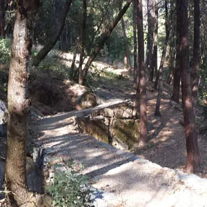 Nisenan Tribute Site trail, created by Forest Trails Alliance