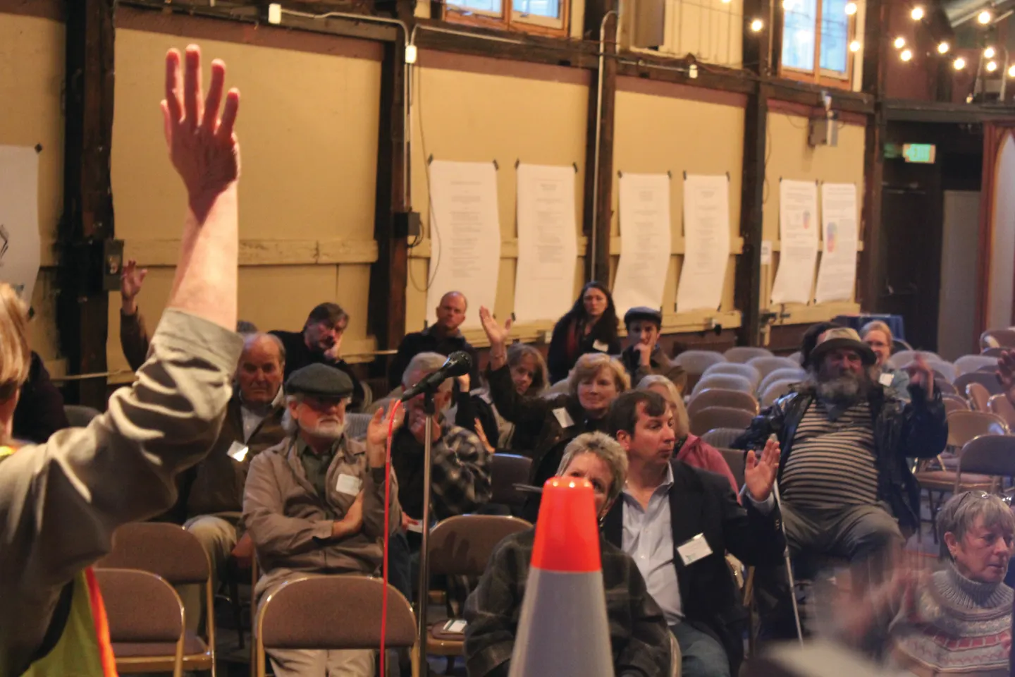 Hand Raise CMYK