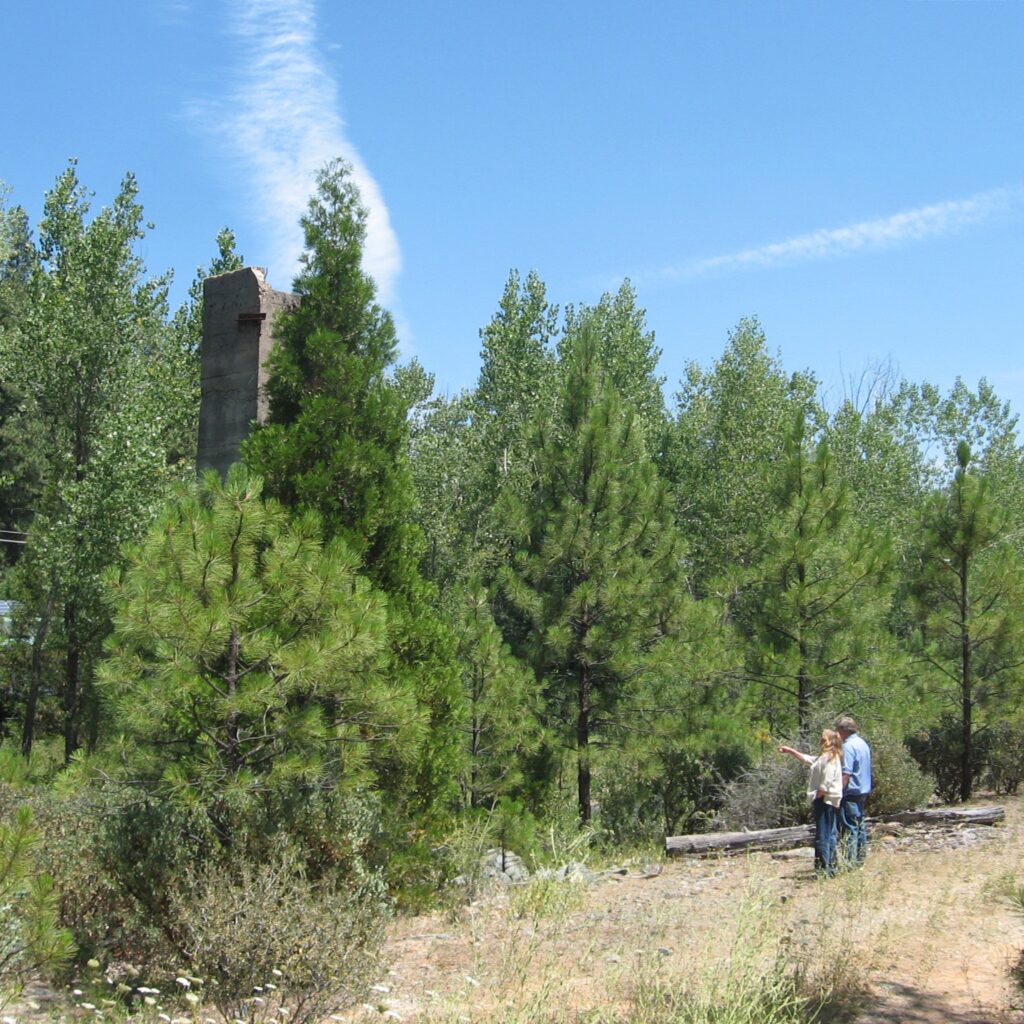 Released Primer for Local Officials on Mining Toxins