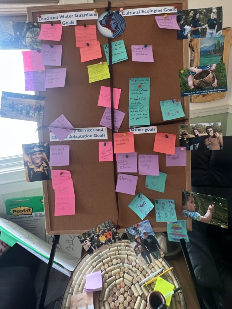 Launched Strategic Visioning Process