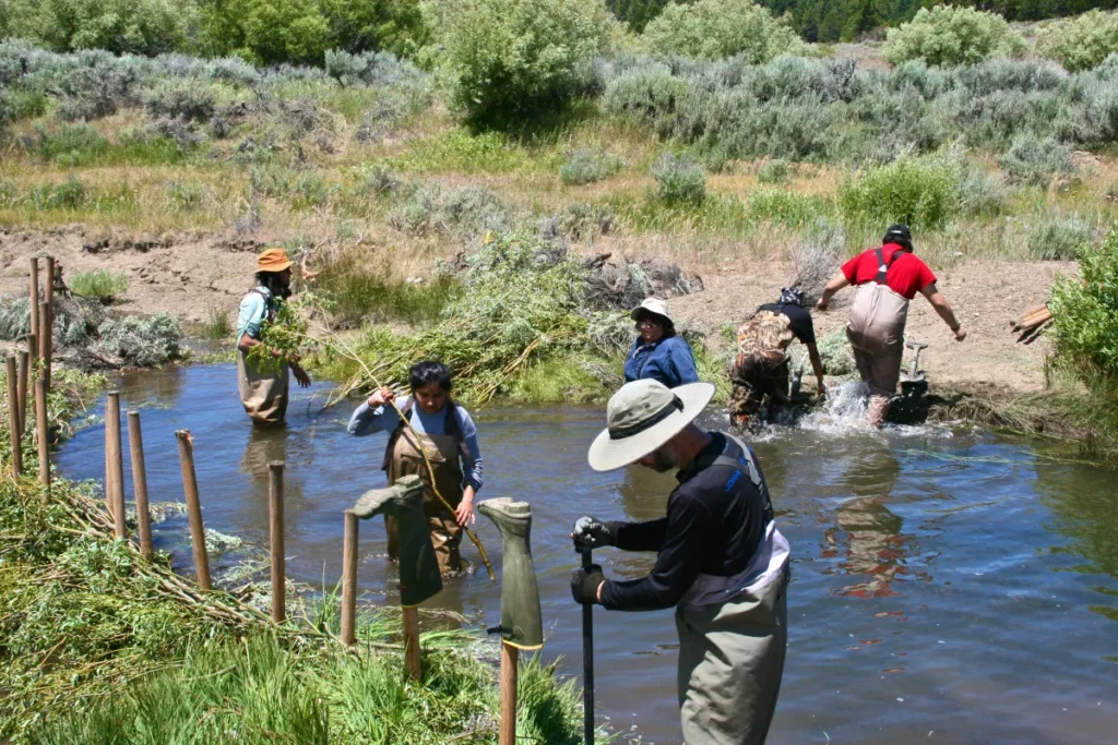 Launched Clover Valley Ranch Restoration Project