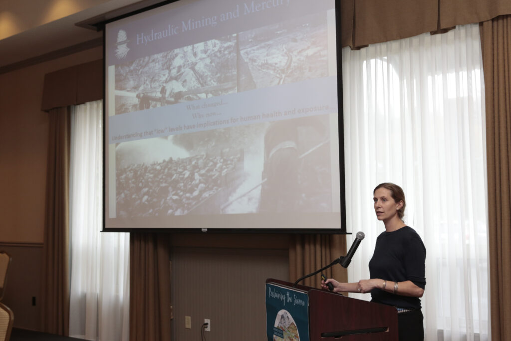 Released Headwater Mercury Source Reduction Strategy